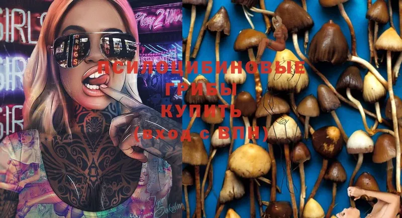 OMG онион  Энгельс  Псилоцибиновые грибы Psilocybe  даркнет сайт 